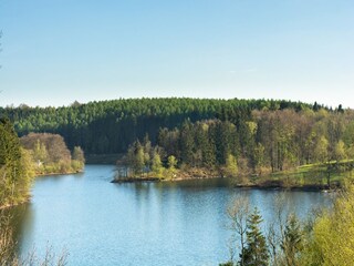 Ferienhaus Robertville Umgebung 29