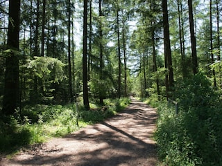 Casa vacanze Robertville Ambiente 36