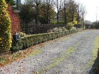 Holiday house Robertville Outdoor Recording 7