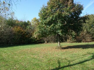 Holiday house Robertville Outdoor Recording 9
