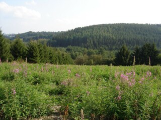 Casa de vacaciones Robertville Entorno 29