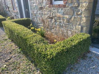 Ferienhaus Robertville Außenaufnahme 9