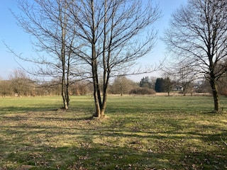 Ferienhaus Robertville Außenaufnahme 8