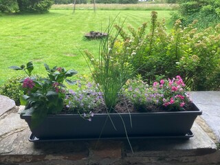 Ferienhaus Robertville  40