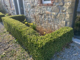 Vakantiehuis Robertville Buitenaudio-opname 10