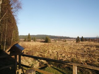 Chalet Robertville Buitenaudio-opname 4