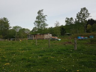 Chalet Robertville Environnement 25