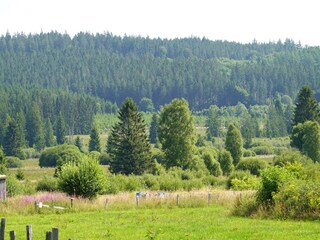 Chalet Robertville Umgebung 23