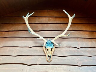 Chalet Robertville  33