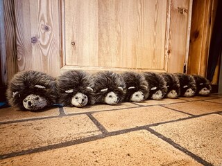 Chalet Robertville  34