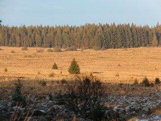 Chalet Robertville Environment 23