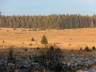 Chalet Robertville Omgeving 24