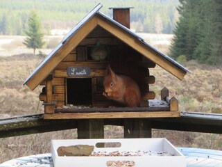 Chalet Robertville  35