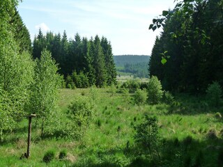 Chalet Robertville Omgeving 27