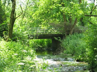 Casa de vacaciones Waimes Entorno 27