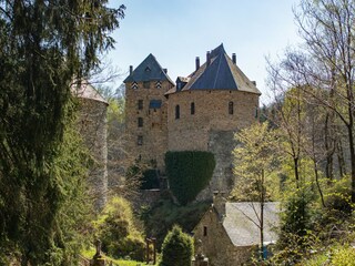 Vakantiehuis Robertville Omgeving 40