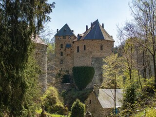 Maison de vacances Robertville Environnement 40