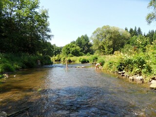 Vakantiehuisje Waimes Omgeving 25