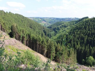 Casa de vacaciones Malmedy Entorno 35