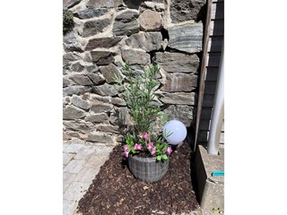 Casa per le vacanze Malmedy  38