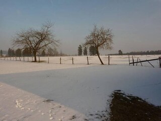Cottage Malmedy Umgebung 23