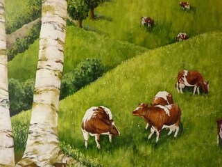 Casa vacanze Malmedy Caratteristiche 15