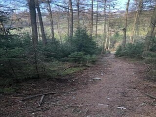 Vakantiehuisje Malmedy Omgeving 36