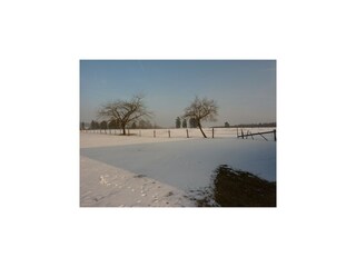 Vakantiehuisje Malmedy Omgeving 25