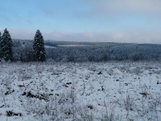 Chalet Malmedy Environnement 36