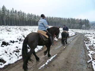 Chalet Malmedy Omgeving 35