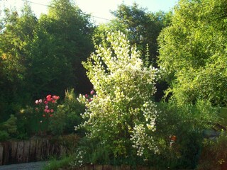 Chalet Malmedy Buitenaudio-opname 17