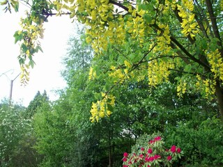 Chalet Malmedy Buitenaudio-opname 6