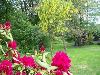 Chalet Malmedy Enregistrement extérieur 6