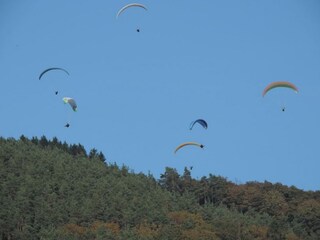 Vakantiehuis Trois-Ponts Omgeving 27