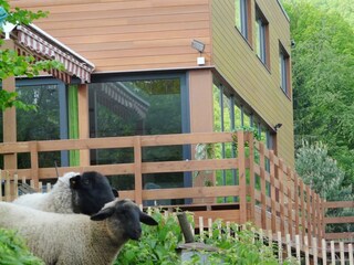 Vakantiehuis Trois-Ponts  33