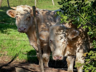 Maison de vacances Trois-Ponts  40