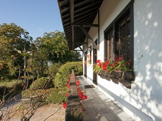 Ferienhaus Trois-Ponts Außenaufnahme 9