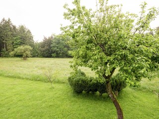 Vakantiehuis Stavelot Buitenaudio-opname 5