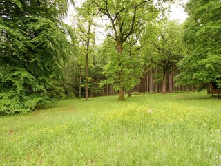 Vakantiehuis Stavelot Omgeving 25
