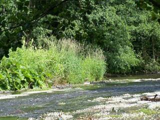 Vakantiehuisje Stoumont Omgeving 22