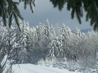 Casa vacanze Stoumont Ambiente 21