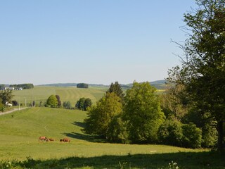 Maison de vacances Stoumont Environnement 29