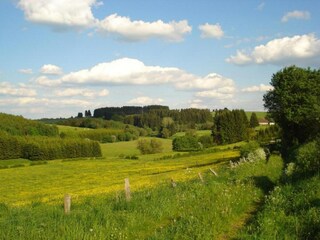 Vakantiehuisje Stoumont Omgeving 32