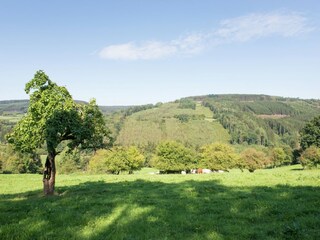 Casa de vacaciones Stavelot Entorno 35