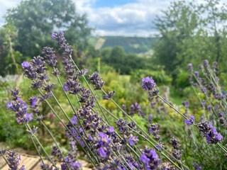 Appartamento Stoumont Ambiente 36