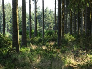Vakantiehuisje Stavelot Omgeving 19