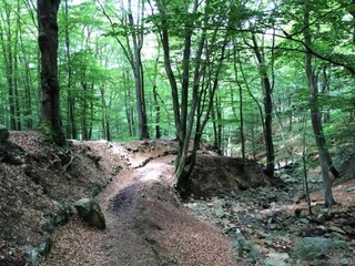 Vakantiehuisje Stavelot Omgeving 25