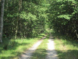 Vakantiehuisje Stavelot Omgeving 28