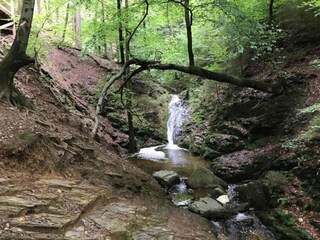 Vakantiehuisje Stavelot Omgeving 27