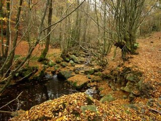 Vakantiehuisje Stavelot Omgeving 32